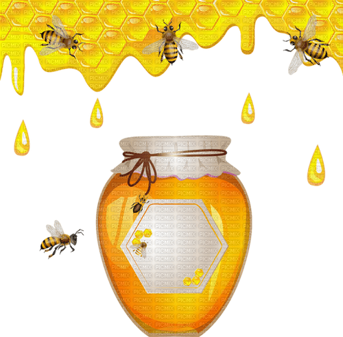 abeille, miel,Karina10rus - besplatni png