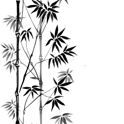 Bambou - PNG gratuit
