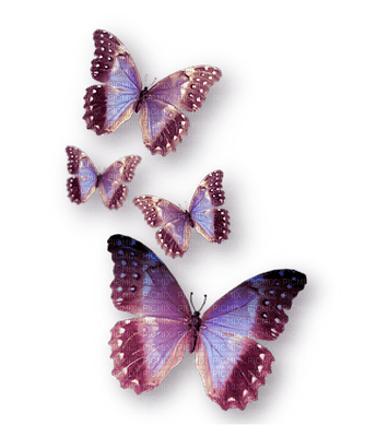 papillon violet.Cheyenne63 - png ฟรี