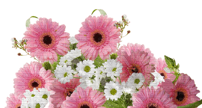 Flowers pink bp - gratis png