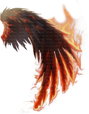 Wings.Ailes.Ala.fire.Victoriabea - gratis png