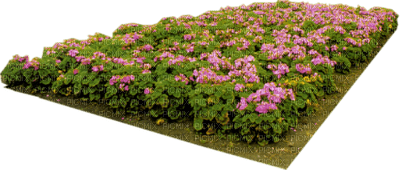 Kaz_Creations Garden Deco Flowers - бесплатно png