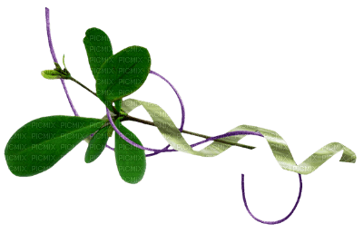 minou-leaf-deco - ilmainen png