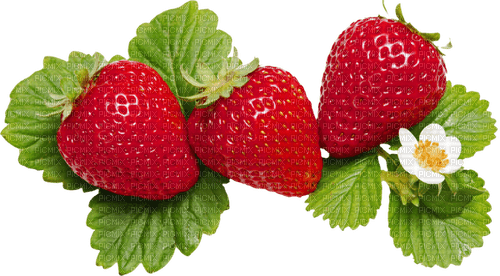 Strawberries - png gratis