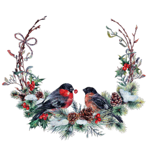 Christmas birds bp - zdarma png