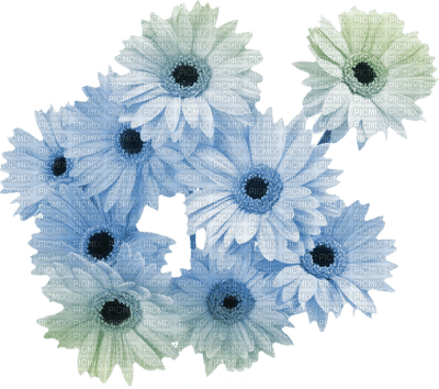 blommor-flowers - бесплатно png