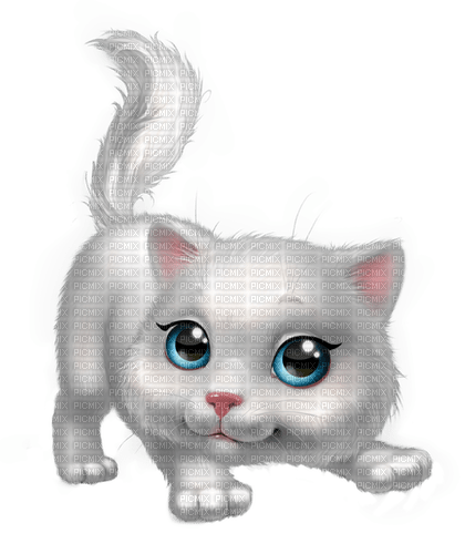 white cat by nataliplus - ingyenes png