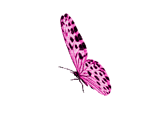 papillon rose pink butterfly gif