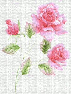 roses roses 1 - Kostenlose animierte GIFs