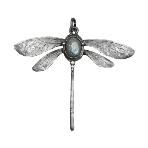 dragonfly pendant -jox - PNG gratuit