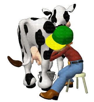 milking cow - Free animated GIF