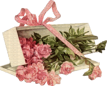 minou-flowers-pink - GIF animé gratuit
