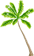 palm tree - GIF เคลื่อนไหวฟรี