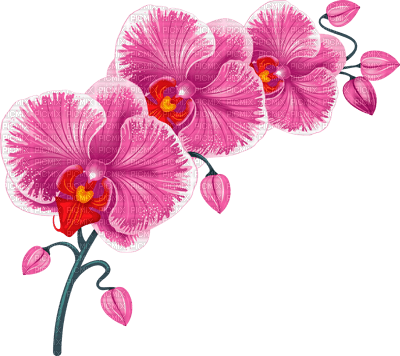 Y.A.M._Summer Flowers Decor - zdarma png