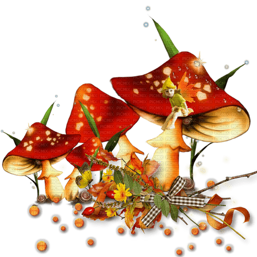 mushroom cluster - png ฟรี