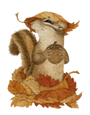Kaz_Creations Animals Animal Autumn - Free PNG