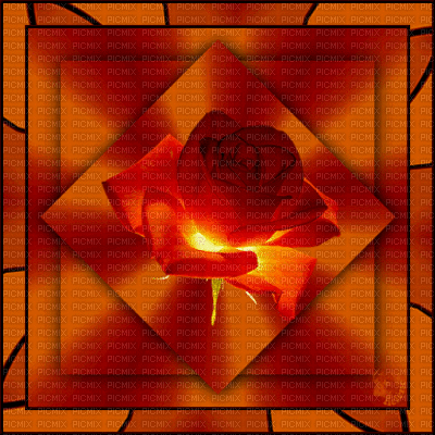 rose - Безплатен анимиран GIF