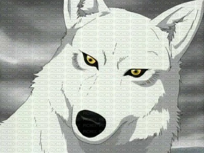 wolf-rain-anime - nemokama png