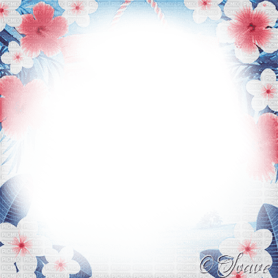 soave frame summer flowers tropical pink blue - 無料png