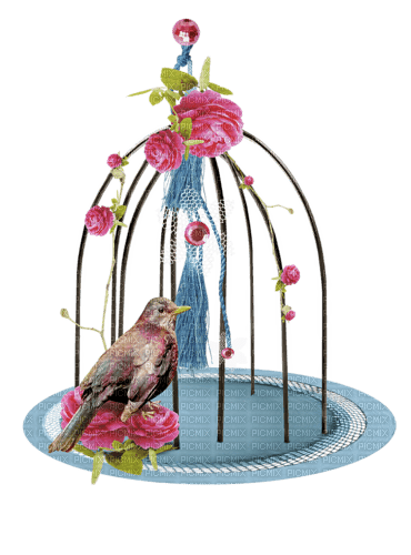 bird cage pink flowers rose roses kikkapink - бесплатно png