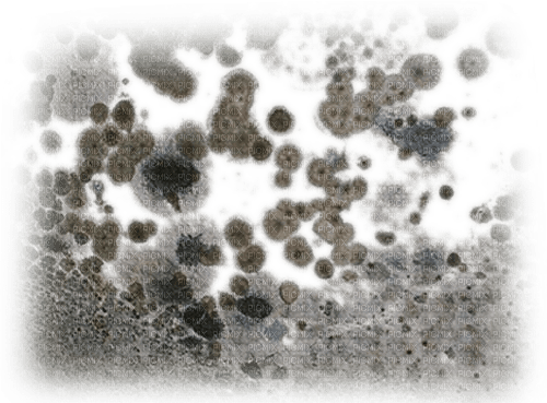 mold mold mold - PNG gratuit