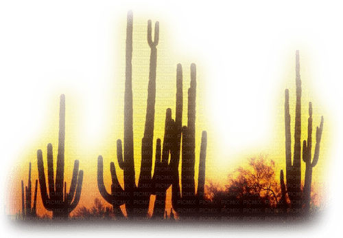 Paysage.Plants.Desert.Cactus.Victoriabea - 無料png