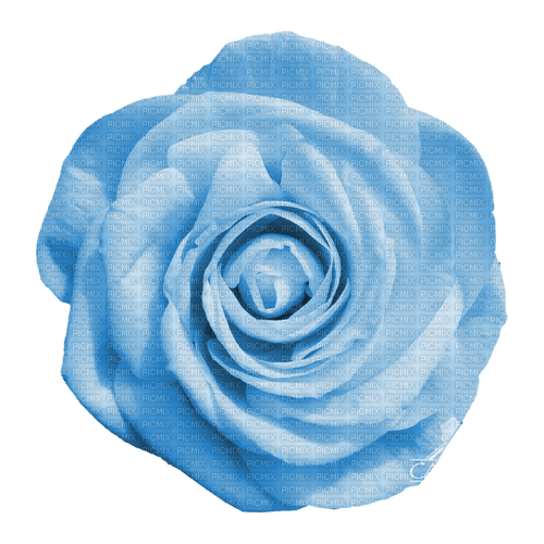 kikkapink deco scrap blue flower - zdarma png