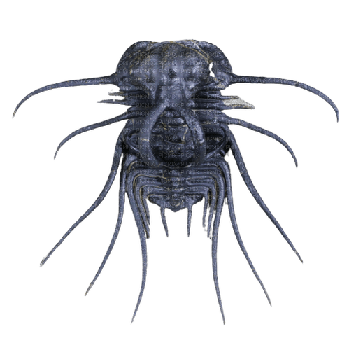 scary black creature bug - darmowe png