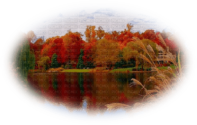 patymirabelle paysage automne - PNG gratuit