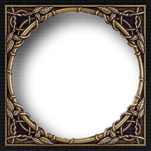 Frame.Cadre.Marco.Gold.Round.Victoriabea - zadarmo png