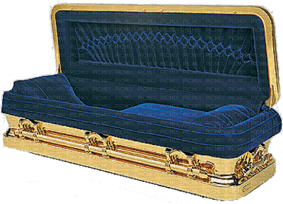 blue casket - zadarmo png