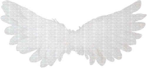 angel wings - kostenlos png