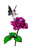 Rose 1 NitsaPap - Бесплатный анимированный гифка