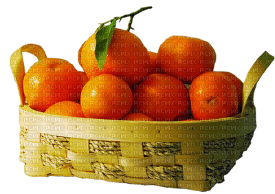 fruit oranges bp - ücretsiz png