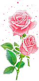 Fleur rose - Бесплатни анимирани ГИФ