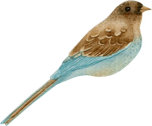 dolceluna deco bird - PNG gratuit