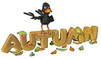 Autumn bird - Zdarma animovaný GIF