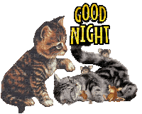 Nina goodnight - GIF animé gratuit