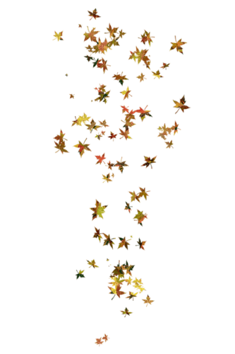 leaves falling fly autumn brown - png ฟรี