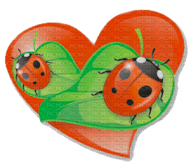 patymirabelle coccinelle - δωρεάν png