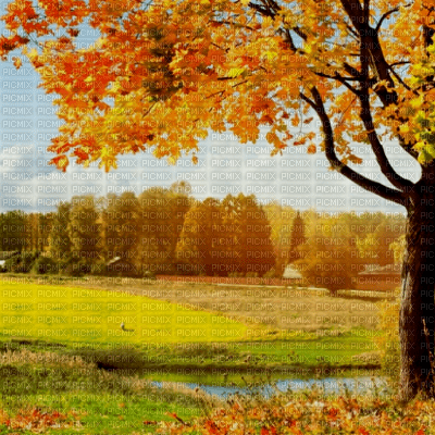 automne - png grátis