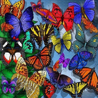 colorflies - gratis png