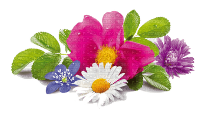 flores - nemokama png