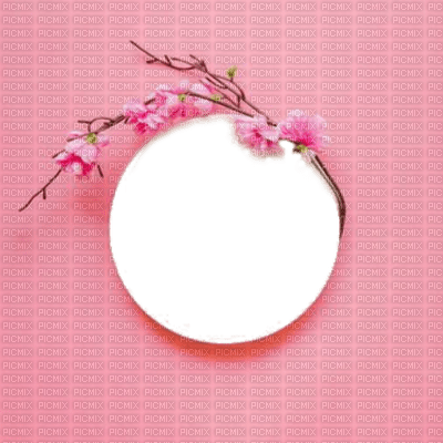 background fond spring printemps frühling primavera весна wiosna flower fleur blossom bloom blüte fleurs blumen image tube frame cadre circle pink - PNG gratuit