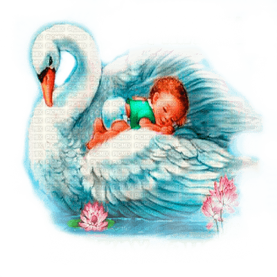 Y.A.M._Summer swan baby - ilmainen png