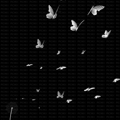 mariposas - GIF animado gratis