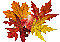 Herbst - Δωρεάν κινούμενο GIF