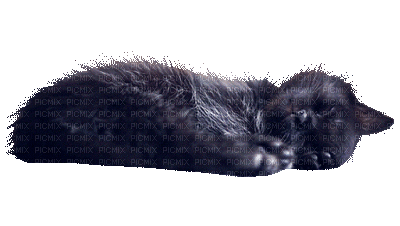 sleeping - Безплатен анимиран GIF