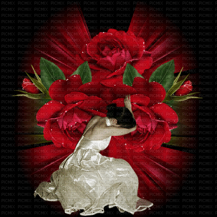 femme rose rouge - Gratis animeret GIF