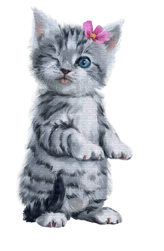 Zizi_Diamond Cat - gratis png